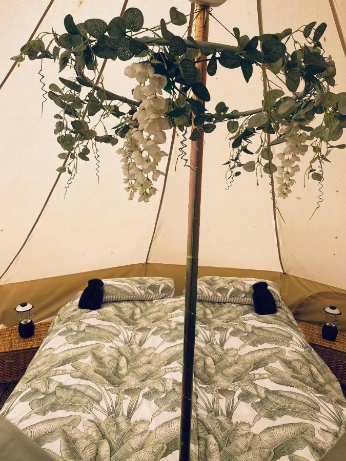 Duneden Belle Glamping Randalstown Eksteriør billede